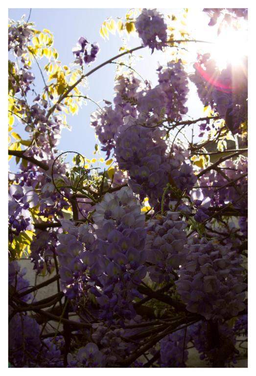 Susana Just Boutique Hotel บิเซนเตโลเปซ ภายนอก รูปภาพ